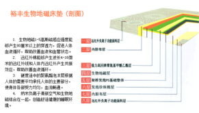 泰安市裕豐科技 融合計算機(jī)技術(shù)開發(fā)，引領(lǐng)健康寢具新篇章